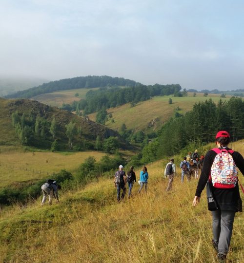 Tometino polje 2016.